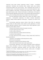 Nevyriausybinių organizacijų (NVO) situacijos Lietuvoje analizė: nevyriausybinių organizacijų (NVO) veiklos ypatumai, problemos, 12 puslapis