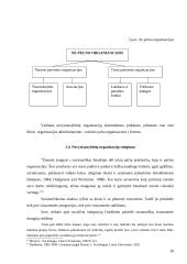 Nevyriausybinių organizacijų (NVO) situacijos Lietuvoje analizė: nevyriausybinių organizacijų (NVO) veiklos ypatumai, problemos, 18 puslapis