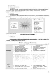 Elektroninis marketingas 10 puslapis