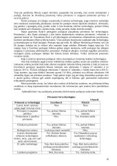 Elektroninis marketingas 17 puslapis