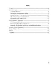 Parabolinė antena duomenų perdavimo įrenginiams 3 puslapis