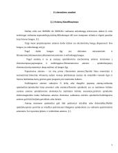 Parabolinė antena duomenų perdavimo įrenginiams 5 puslapis