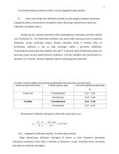 Elektros mašinos 11 puslapis