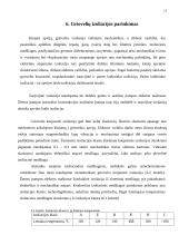 Elektros mašinos 13 puslapis