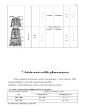 Elektros mašinos 15 puslapis