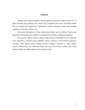 Gamybos procesas su elektros pavaromis 2 puslapis