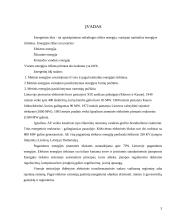 Elektros energija ir tinklai 3 puslapis