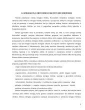 Elektros energija ir tinklai 4 puslapis