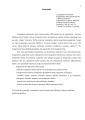 Personalinio kompiuterio darbo optimizavimas 2 puslapis