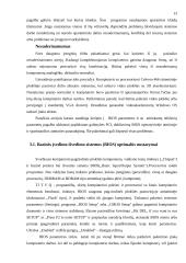 Personalinio kompiuterio darbo optimizavimas 13 puslapis