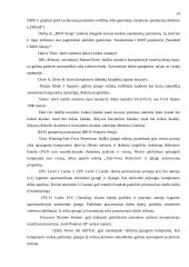 Personalinio kompiuterio darbo optimizavimas 14 puslapis