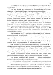 Personalinio kompiuterio darbo optimizavimas 17 puslapis