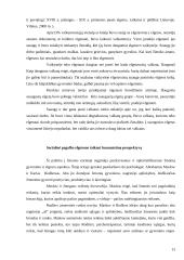 Elgetavimas kaip socialinė problema 13 puslapis