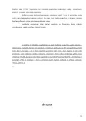 Elgetavimas kaip socialinė problema 14 puslapis