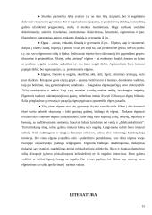 Elgetavimas kaip socialinė problema 15 puslapis