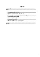 Elgetavimas kaip socialinė problema 3 puslapis