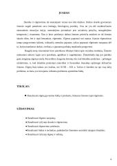 Elgetavimas kaip socialinė problema 4 puslapis