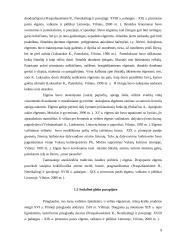 Elgetavimas kaip socialinė problema 9 puslapis