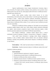 Personalo mokymo ir kvalifikacijos kėlimo sistema UAB "Lintel" 4 puslapis