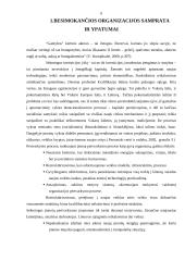 Personalo mokymo ir kvalifikacijos kėlimo sistema UAB "Lintel" 6 puslapis