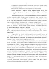 Personalo mokymo ir kvalifikacijos kėlimo sistema UAB "Lintel" 7 puslapis