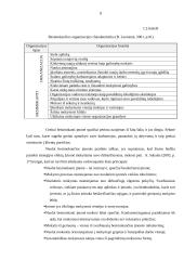 Personalo mokymo ir kvalifikacijos kėlimo sistema UAB "Lintel" 8 puslapis