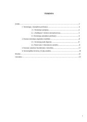 Etniniai stereotipai