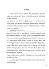 Etniniai stereotipai 2 puslapis