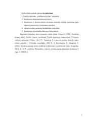 Etniniai stereotipai 3 puslapis