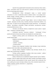 Etniniai stereotipai 10 puslapis