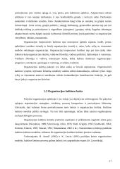 Personalo vadybos priemonės 17 puslapis