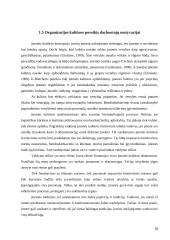 Personalo vadybos priemonės 20 puslapis