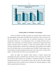 Euras ir jo įvedimo problemos Lietuvoje 16 puslapis