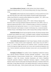 Euras ir jo įvedimo problemos Lietuvoje 19 puslapis