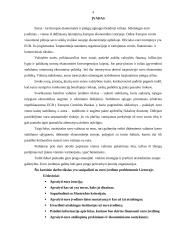 Euras ir jo įvedimo problemos Lietuvoje 4 puslapis