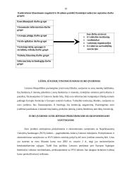 Euras ir jo įvedimo problemos Lietuvoje 10 puslapis