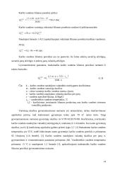 Vandens šildymo katilinės rekonstrukcija 11 puslapis