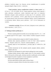 Vandens šildymo katilinės rekonstrukcija 18 puslapis