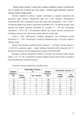 Vandens šildymo katilinės rekonstrukcija 19 puslapis