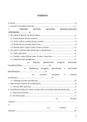 Vandens šildymo katilinės rekonstrukcija 3 puslapis