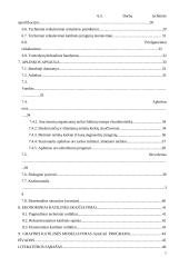 Vandens šildymo katilinės rekonstrukcija 4 puslapis