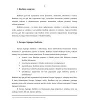 Europos Sąjungos (ES) biudžeto procesas 4 puslapis