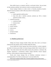 Europos Sąjungos (ES) biudžeto procesas 6 puslapis