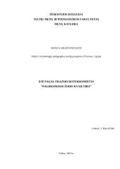 E. Roterdomietis "Pagiriamasis žodis kvailybei"