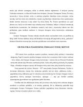 Europos Sąjungos (ES) teisiniai aktai 5 puslapis