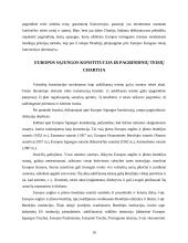 Europos Sąjungos (ES) teisiniai aktai 8 puslapis