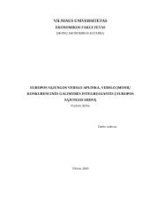 Europos Sąjungos (ES) verslo aplinka, verslo įmonių konkurencinės galimybės integruojantis į Europos Sąjungos (ES) erdvę