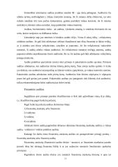 Finansinė atskaitomybė ir auditas 11 puslapis