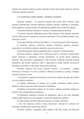 Finansinė atskaitomybė ir auditas 12 puslapis