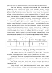 Finansinė atskaitomybė ir auditas 16 puslapis